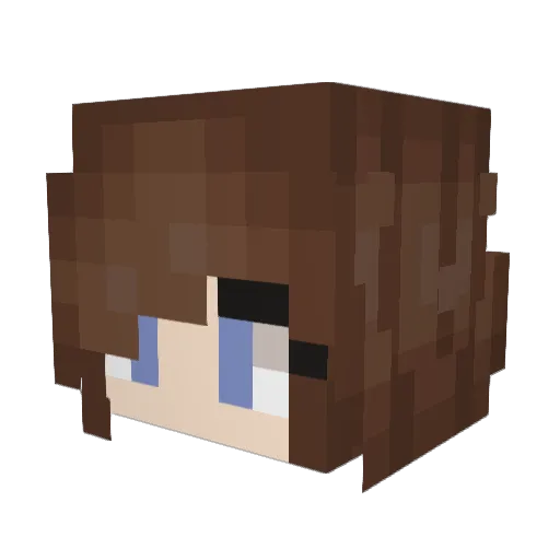 RedBookWyrm Minecraft avatar head, 3D render