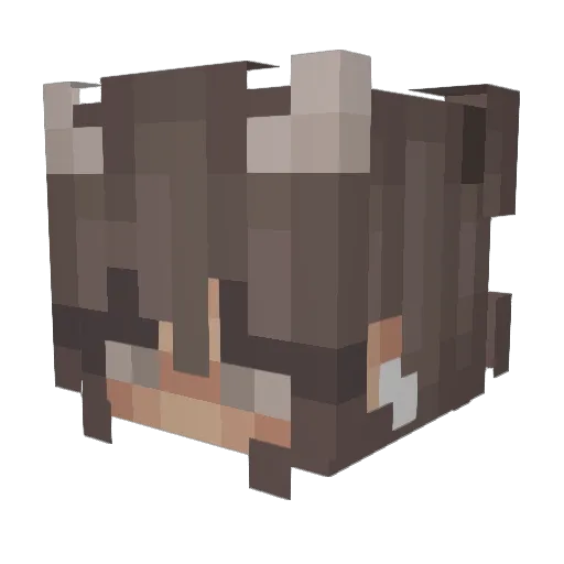 RedBullKrisi Minecraft avatar head, 3D render