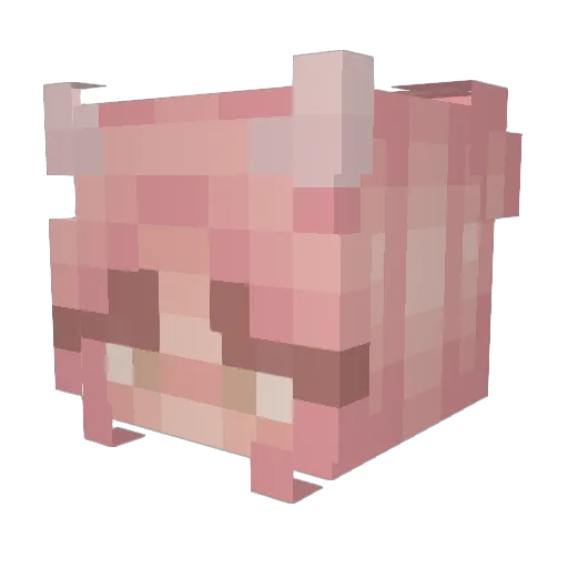 RedCat47 Minecraft avatar head, 3D render