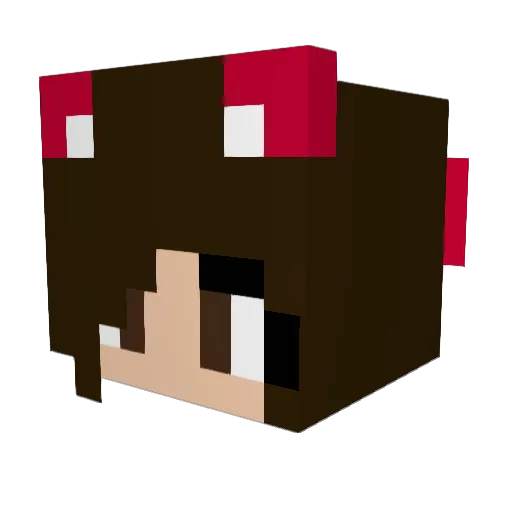 RedCat840 Minecraft avatar head, 3D render