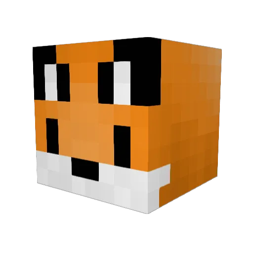 RedCatGamingYT Minecraft avatar head, 3D render