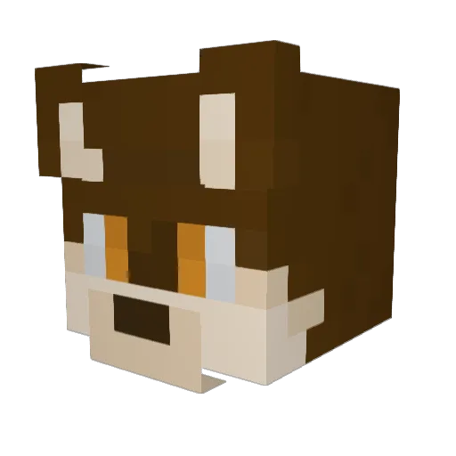 RedCoyote06 Minecraft avatar head, 3D render