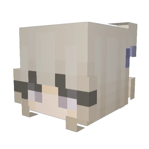 RedDawn1115 Minecraft avatar head, 3D render