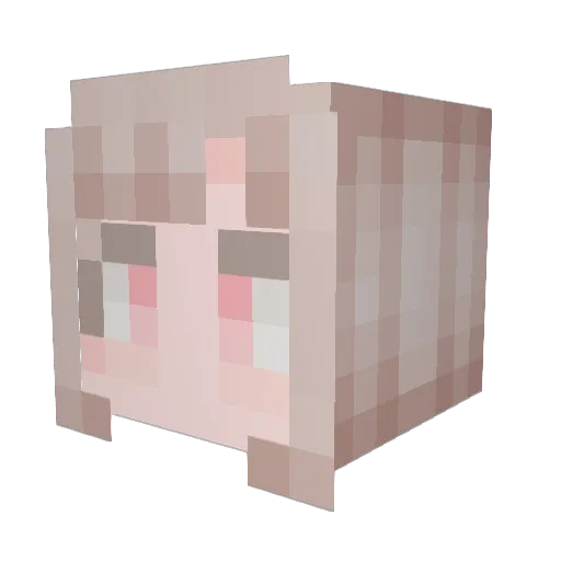 RedDevil0507 Minecraft avatar head, 3D render