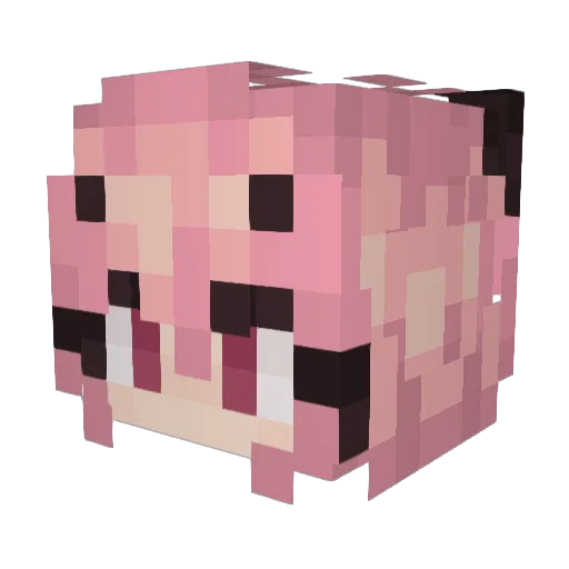 RedDragon2435 Minecraft avatar head, 3D render