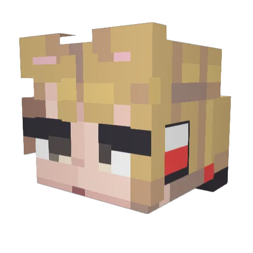 RedFailFox Minecraft avatar head, 3D render