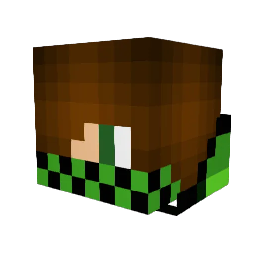 RedFalcon5570 Minecraft avatar head, 3D render