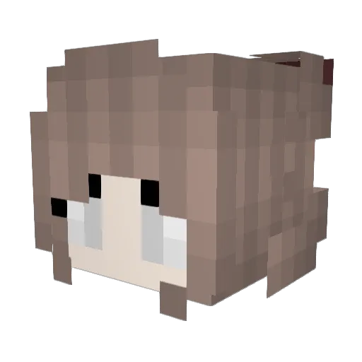 RedFaun22 Minecraft avatar head, 3D render