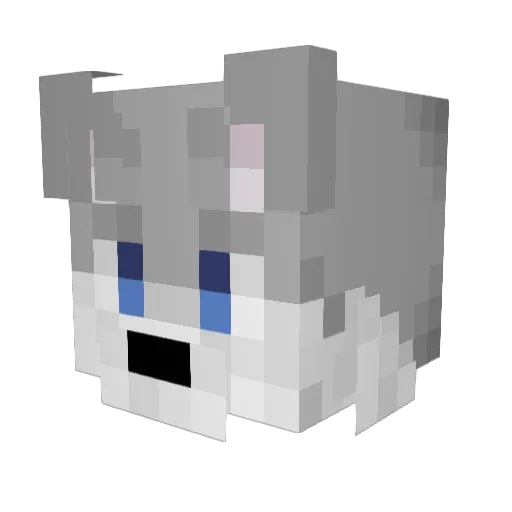 RedFenix56 Minecraft avatar head, 3D render
