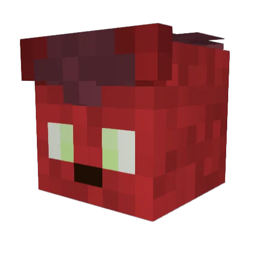 RedFox313 Minecraft avatar head, 3D render