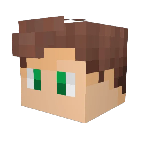 RedFox741 Minecraft avatar head, 3D render