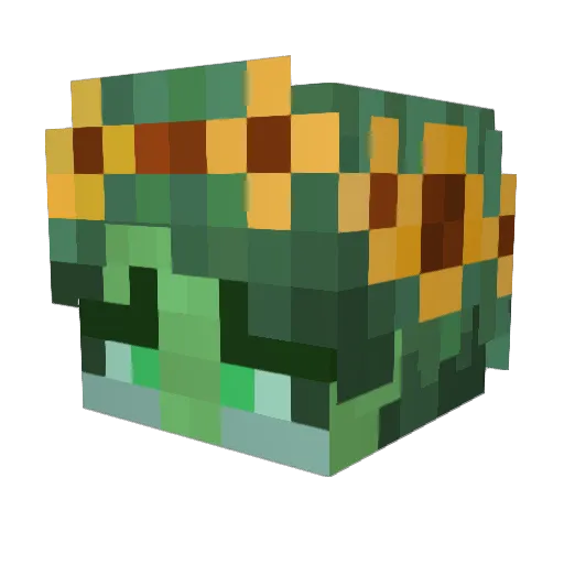 RedHeadedDingie Minecraft avatar head, 3D render