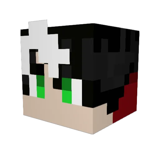 RedHoodTheOutlaw Minecraft avatar head, 3D render