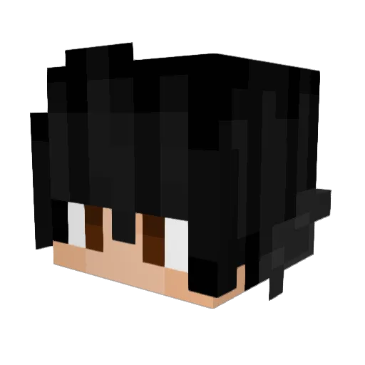 RedIce217 Minecraft avatar head, 3D render