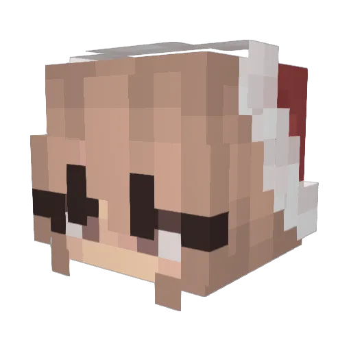 RedLavaBurst Minecraft avatar head, 3D render