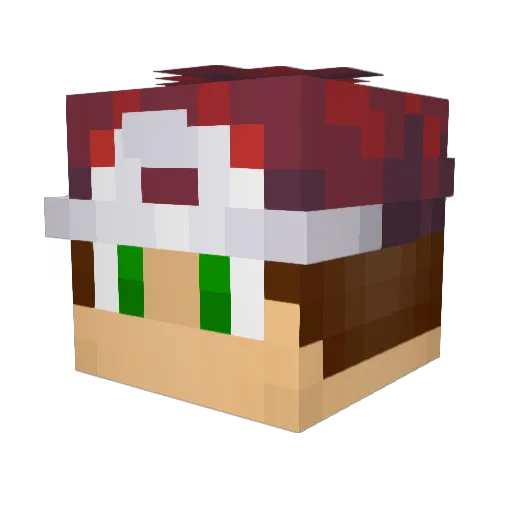 RedLeo24 Minecraft avatar head, 3D render