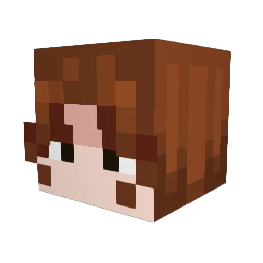 RedLotus3220 Minecraft avatar head, 3D render