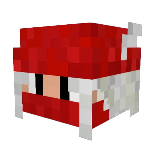 RedMage95 Minecraft avatar head, 3D render
