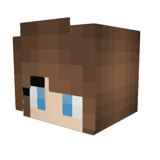 RedMeater Minecraft avatar head, 3D render