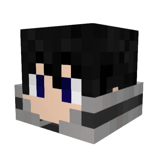 RedMonkey396 Minecraft avatar head, 3D render