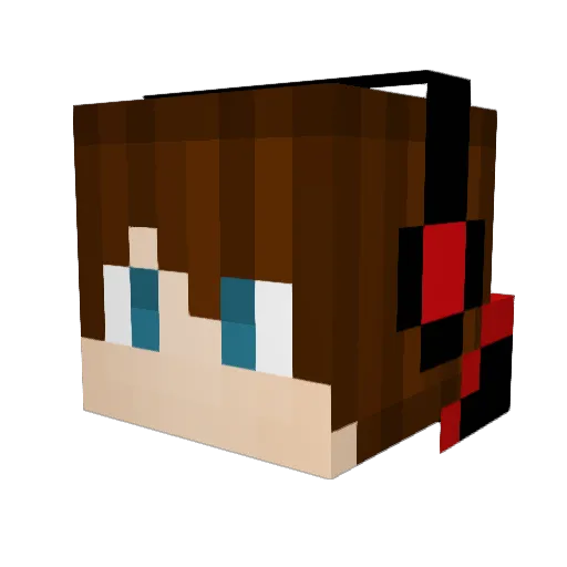 RedNinjaTM Minecraft avatar head, 3D render