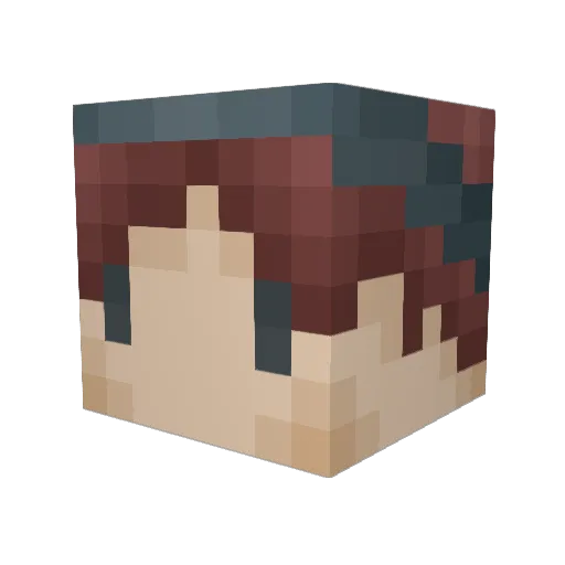 RedOakTree Minecraft avatar head, 3D render