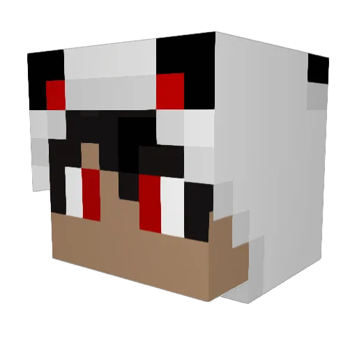 RedPanda1278 Minecraft avatar head, 3D render