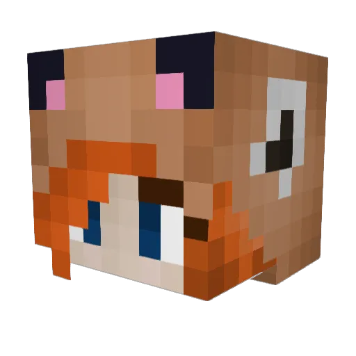 RedPandaBeaRules Minecraft avatar head, 3D render