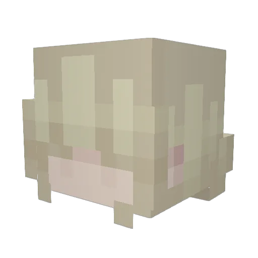 RedPandaBlue852 Minecraft avatar head, 3D render