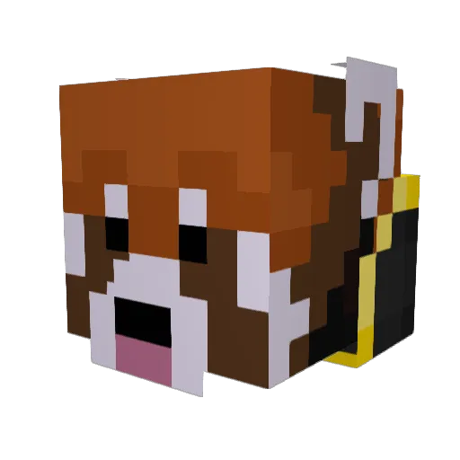 RedPandaBoiii108 Minecraft avatar head, 3D render