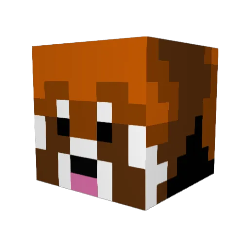 RedPander1213 Minecraft avatar head, 3D render