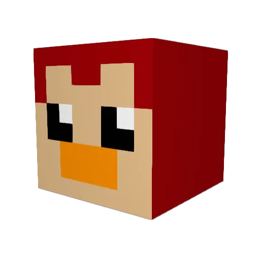 RedPenguin55 Minecraft avatar head, 3D render