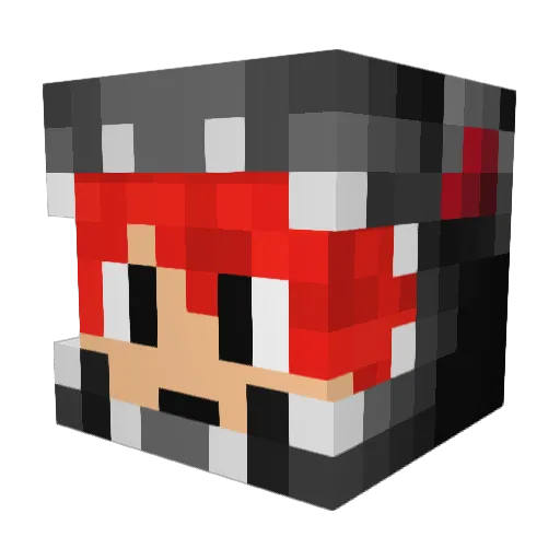 RedRageGaming Minecraft avatar head, 3D render