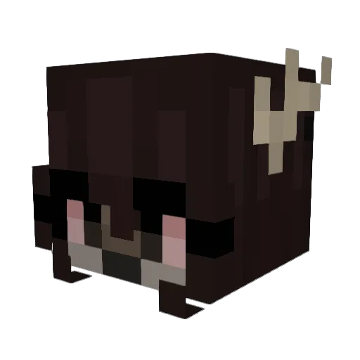 RedRain08 Minecraft avatar head, 3D render