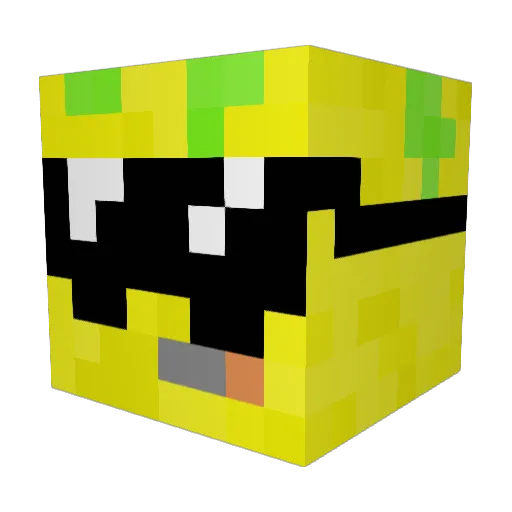 RedRaptor101 Minecraft avatar head, 3D render