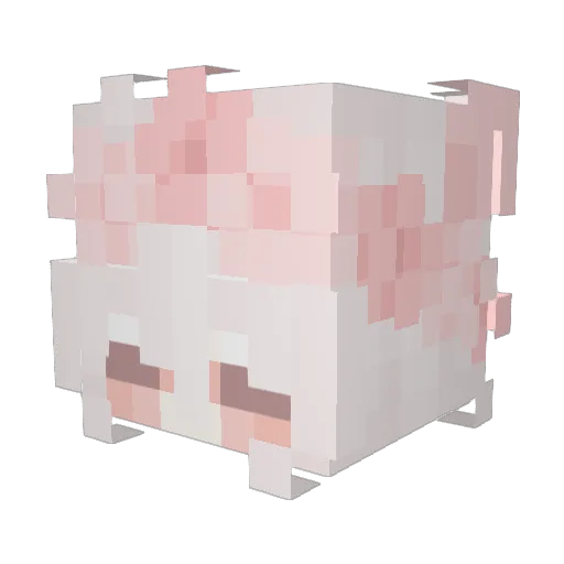 RedRavens Minecraft avatar head, 3D render