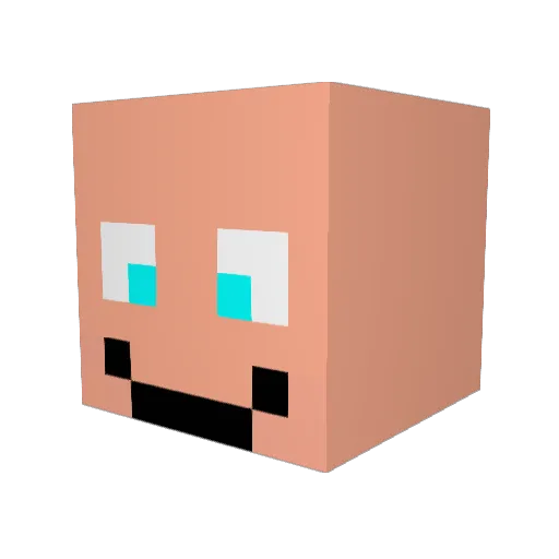 RedReborn5 Minecraft avatar head, 3D render