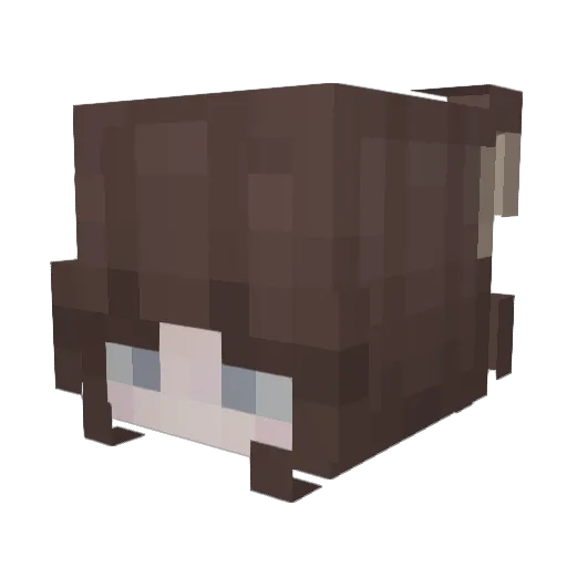 RedRiot16 Minecraft avatar head, 3D render
