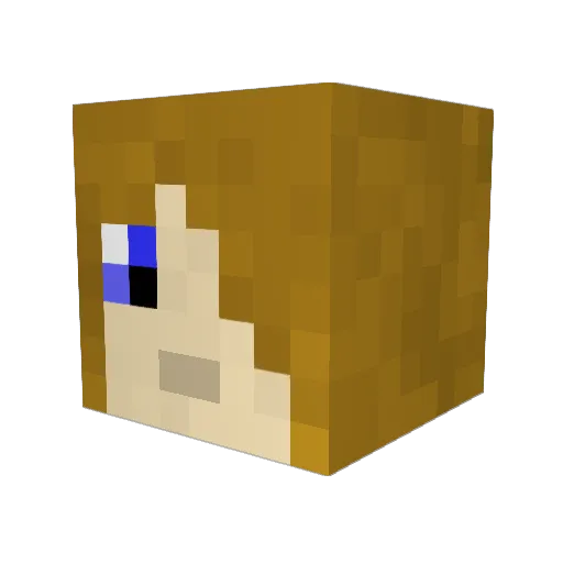 RedRobbyn Minecraft avatar head, 3D render