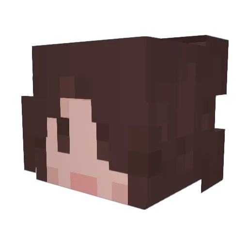 RedRobin2014 Minecraft avatar head, 3D render