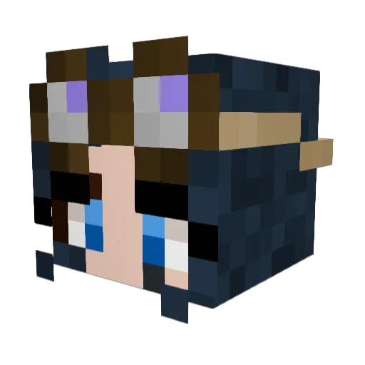 RedRyder23 Minecraft avatar head, 3D render