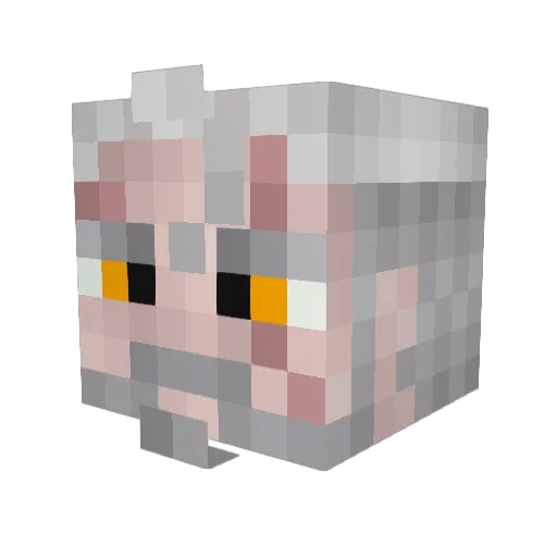 RedSalamander Minecraft avatar head, 3D render