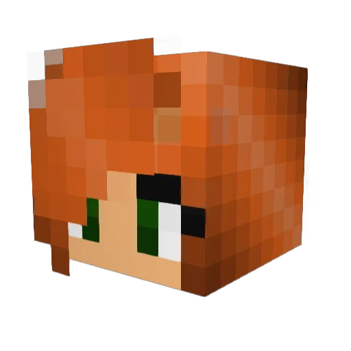 RedStone1709 Minecraft avatar head, 3D render