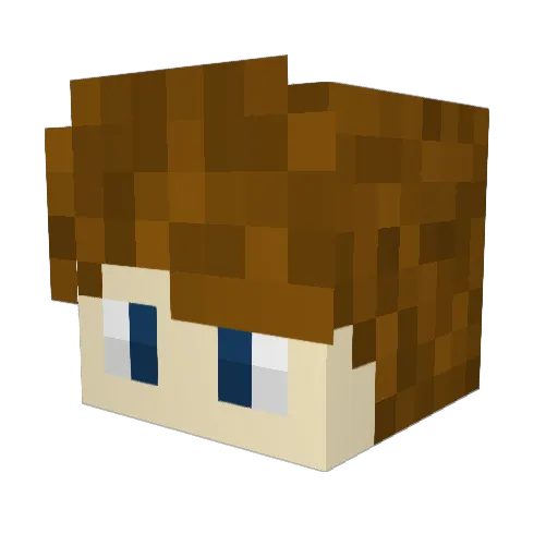 RedStoneBoiDyl Minecraft avatar head, 3D render