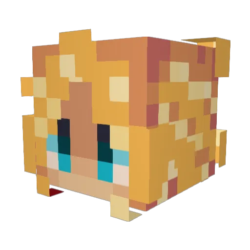 RedWillowD Minecraft avatar head, 3D render