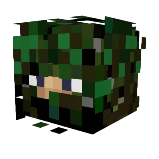 RedWolf_GG21 Minecraft avatar head, 3D render