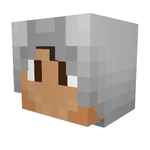 RedWound Minecraft avatar head, 3D render