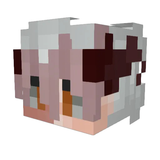 Red_Inferno112 Minecraft avatar head, 3D render