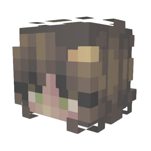 Red_RR_YT Minecraft avatar head, 3D render