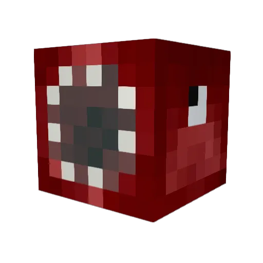 Red_Squidd Minecraft avatar head, 3D render